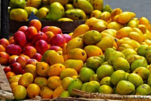 mango variety in enugu jdan journal dieticians association nigeria 1